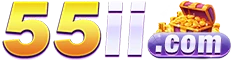 55ii.com